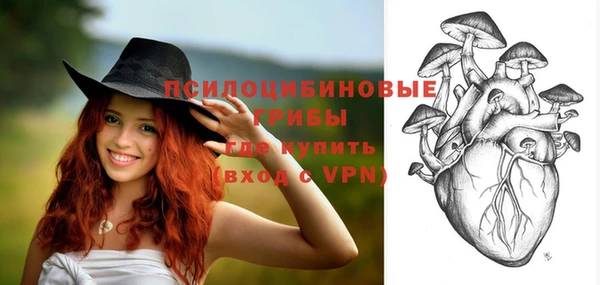 дурь Абдулино