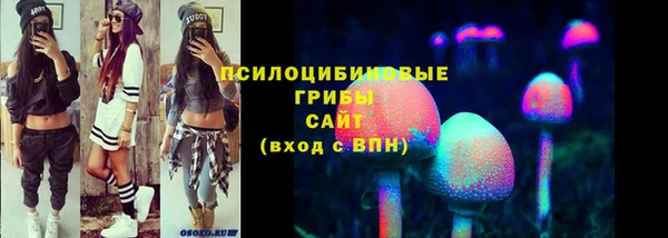 спайс Абинск