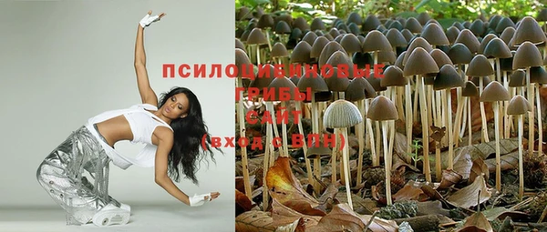 спайс Абинск