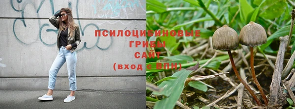 герыч Абаза